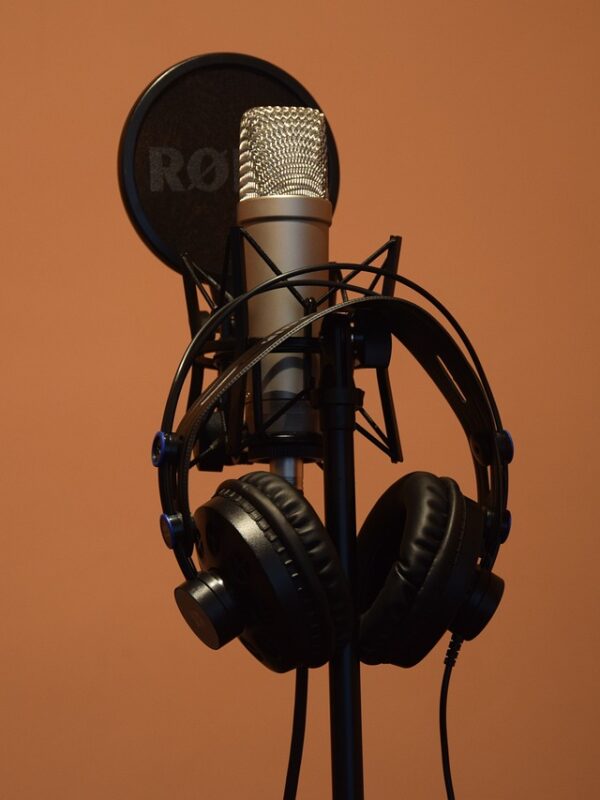 microphone-5046876_1280 microphone-5046876_1280